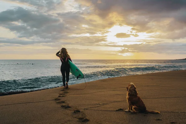 在日落时 一个带着狗在海岸上抱着冲浪板的冲浪女子的后视图 — 图库照片