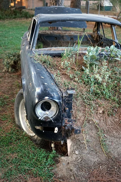 Primer Plano Polvo Plantas Verdes Viejo Coche Negro Roto Jardín — Foto de Stock