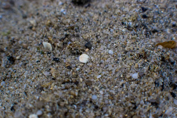 Gros Plan Sable Sur Plage Pleine Petits Rochers — Photo