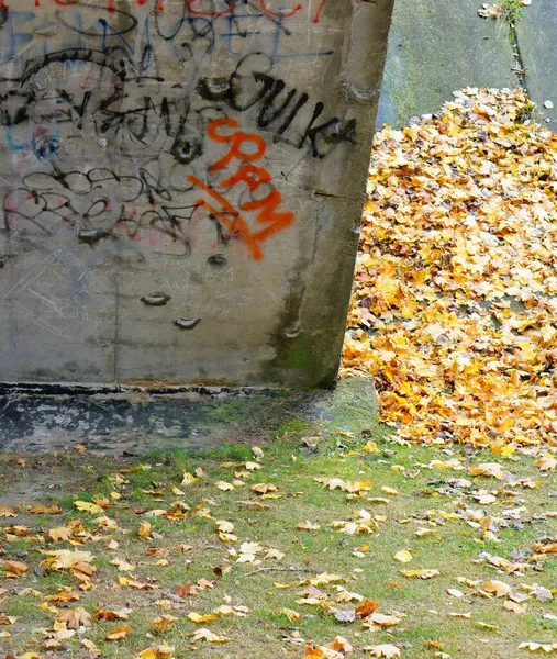 Poznan ポーランド 2013年10月10日 ポーランドのポズナンに落書きのある壁の近くに落ちた葉の垂直ショット — ストック写真