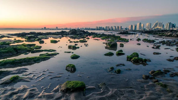 Batu Berlumut Atas Kolam Kecil Pantai Berpasir Setelah Air Pasang — Stok Foto
