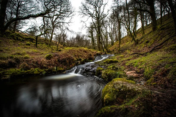 Una Hermosa Toma Una Cascada Bosque Durante Día — Foto de Stock