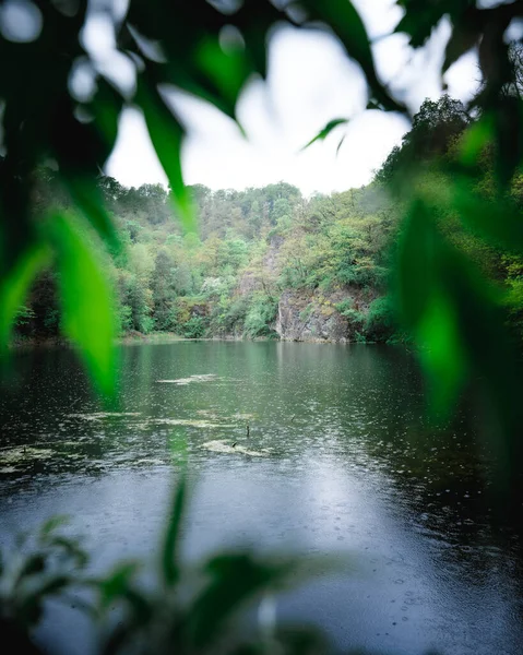 Plan Vertical Lac Derrière Les Feuilles Entouré Une Forêt — Photo