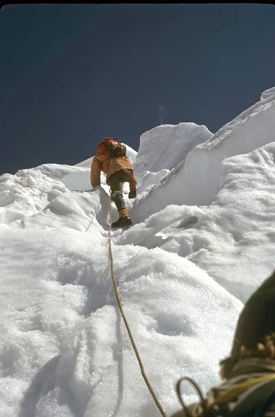 Baksidan Vandrare Vinterkläder Med Ryggsäck Gående Puyallup Glaciären Mount Rainier — Stockfoto