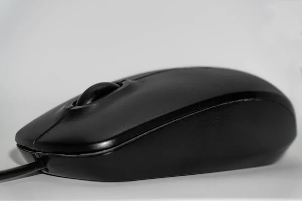 単純な背景にコンピュータのマウスのクローズアップショット — ストック写真