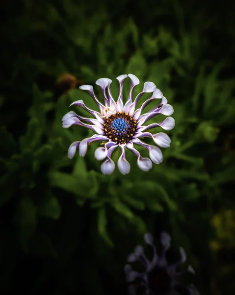 Vertical Selective Focus Shot Flower Wallpaper Background — Fotografia de Stock