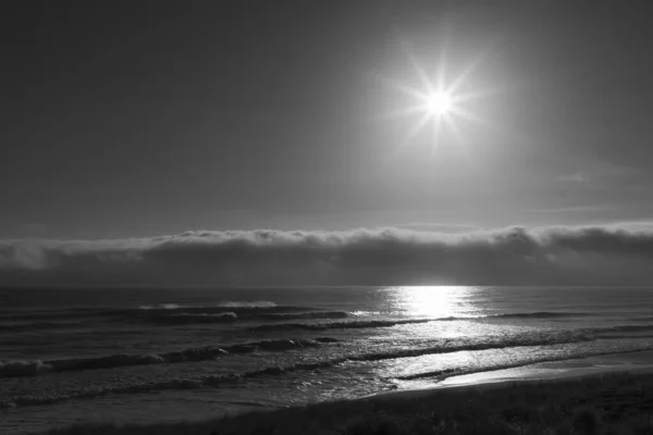 Krásný Záběr Mořskou Pláštěnku Pod Slunečním Světlem Stupních Šedi — Stock fotografie