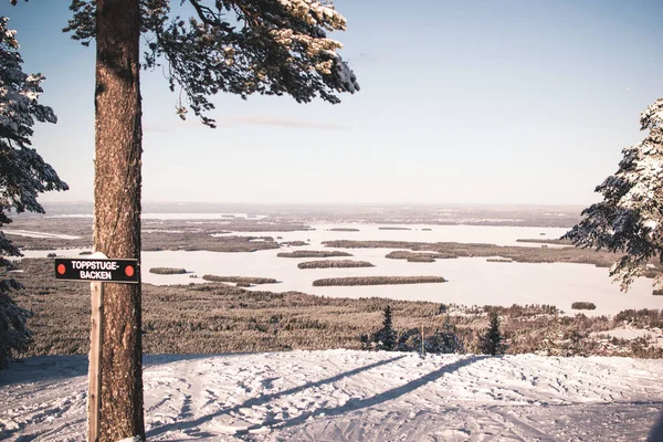 Krásný Výhled Pole Pokryté Sněhem — Stock fotografie