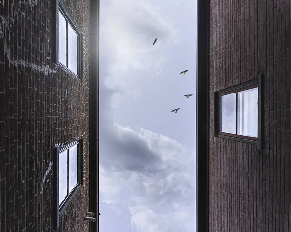 Blue Sky Flying Birds Visible Brick Buildings — Stock Photo, Image