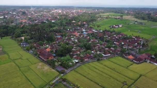 Vanuit Lucht Uitzicht Stad Van Hoofdstad Van Staat Van Het — Stockvideo