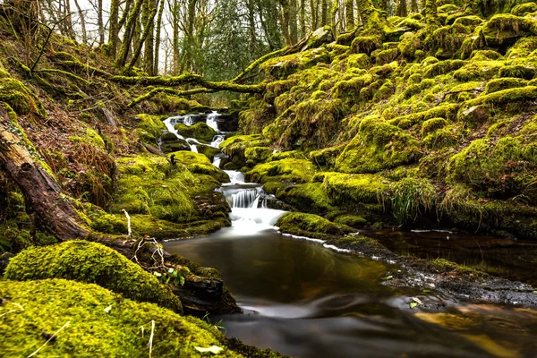 Una Hermosa Toma Una Cascada Bosque Durante Día — Foto de Stock