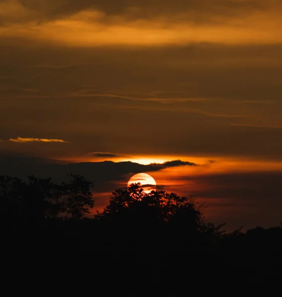 Belo Tiro Uma Floresta Sob Pôr Sol Colorido — Fotografia de Stock