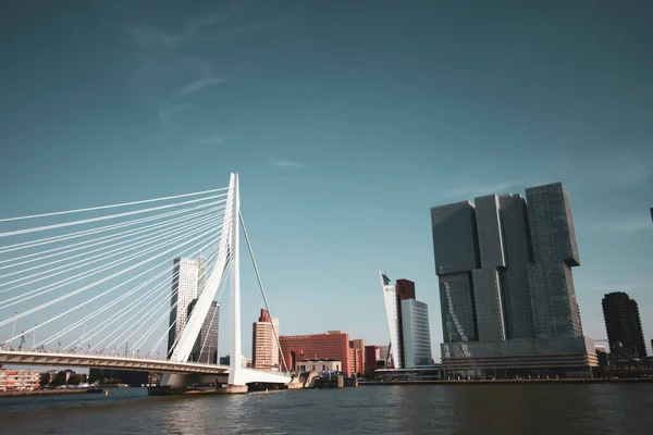 Rotterdam Países Bajos 2021 Una Hermosa Vista Del Famoso Wereldmuseum — Foto de Stock