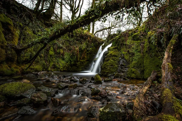 Belo Tiro Uma Cachoeira Uma Floresta Durante Dia — Fotografia de Stock