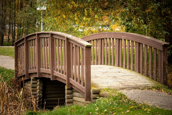 Pequeño Puente Madera Parque Cubierto Vegetación Hojas Secas Otoño — Foto de Stock