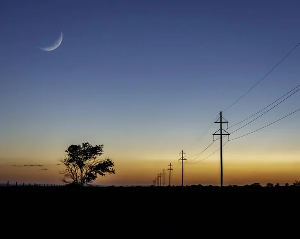 Scenic View Sunset Moon Sky Power Lines Tree Silhouette — Zdjęcie stockowe