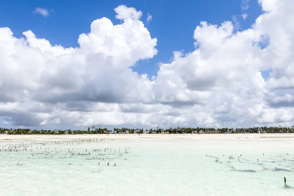 Hermosa Playa Zanzíbar Durante Día — Foto de Stock