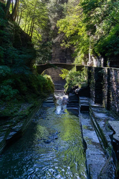 自然の背景としての森の中の滝や橋の美しい景色 — ストック写真