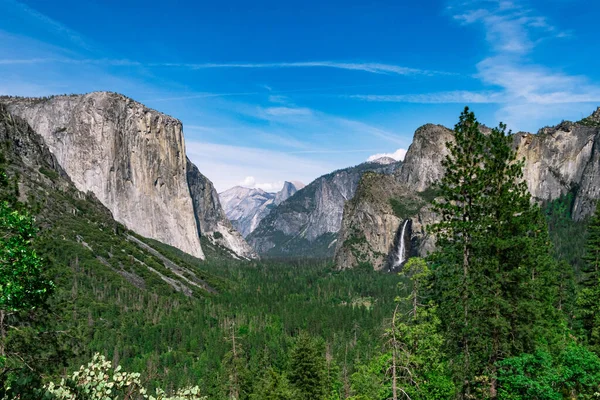 Bare Mountains Dense Forests Yosemite National Park — стокове фото