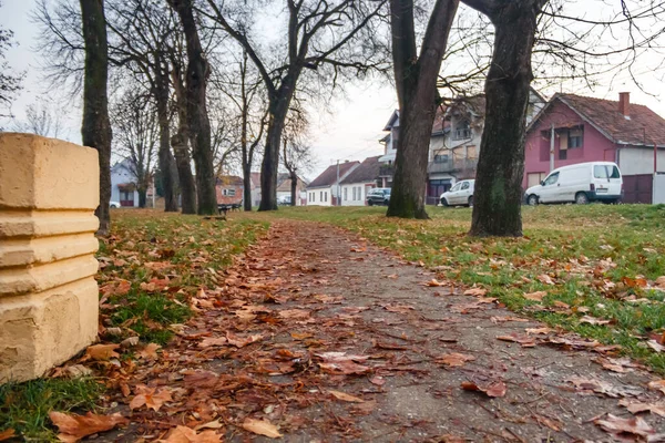 Der Park Mit Den Herbstbäumen — Stockfoto