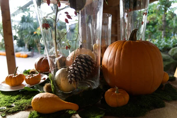 Ein Schön Dekorierter Tisch Mit Kürbissen Blättern Und Nadelzapfen — Stockfoto