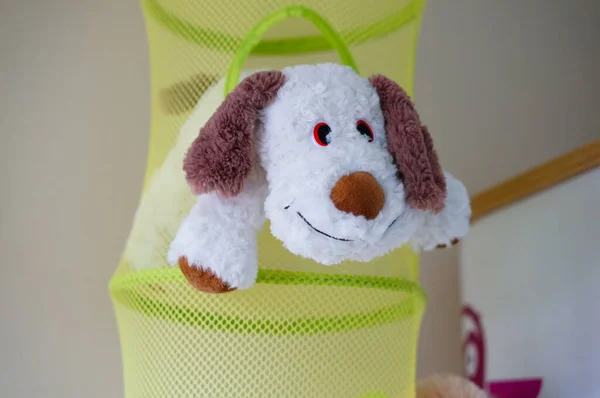 Closeup Shot Plush Dog Toy — Stock Photo, Image