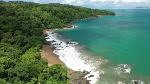 Hermosa Playa Tropical Con Palmeras Cielo Azul — Vídeos de Stock