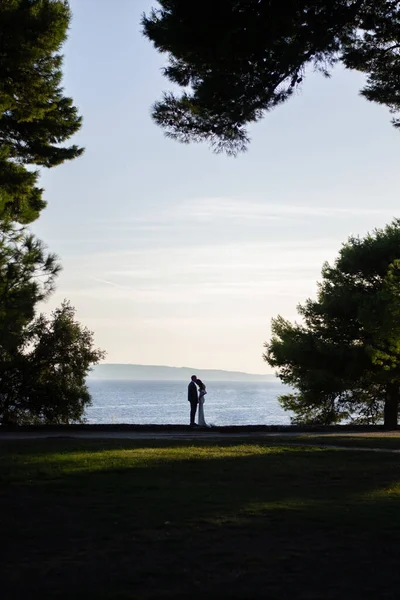 Una Toma Vertical Novio Besando Frente Novia Hermoso Parque Con — Foto de Stock