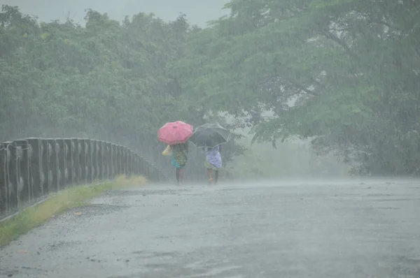 Две Дамы Зонтиками Маршруте Райгада Махараштра Индия Время Сильного Дождя — стоковое фото