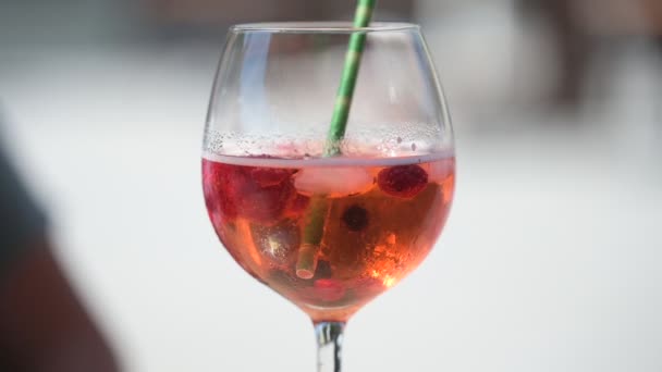 白を基調とした赤ワインのグラス — ストック動画