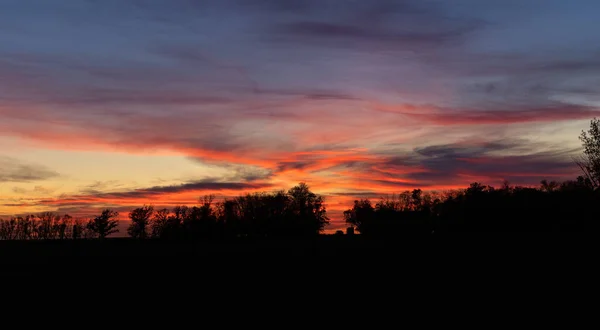 Ein Schöner Farbenfroher Sonnenuntergang Über Einem Wald — Stockfoto