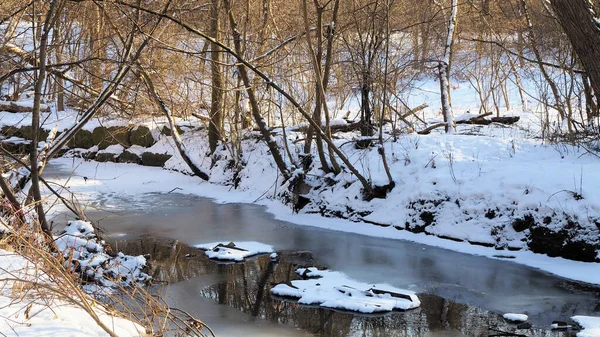 Piękny Widok Pokryty Śniegiem Zimowy Krajobraz Rzeką Drzewami — Zdjęcie stockowe