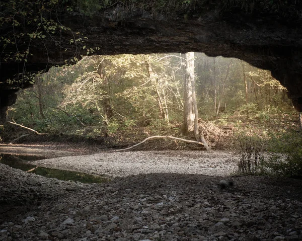 Priveliște Frumoasă Unei Păduri Verzi Sub Pod Arcuit — Fotografie, imagine de stoc