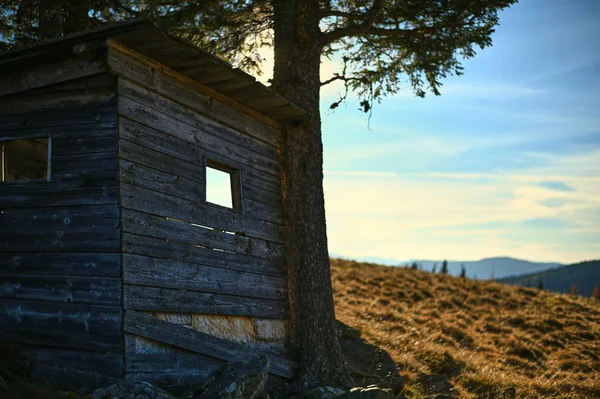 Eine Holzhütte Und Schöne Bäume Bei Sonnenuntergang — Stockfoto