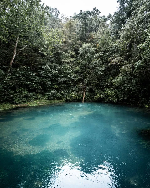 Tiro Vertical Uma Natureza Cênica Com Lago Cercado Por Árvores — Fotografia de Stock