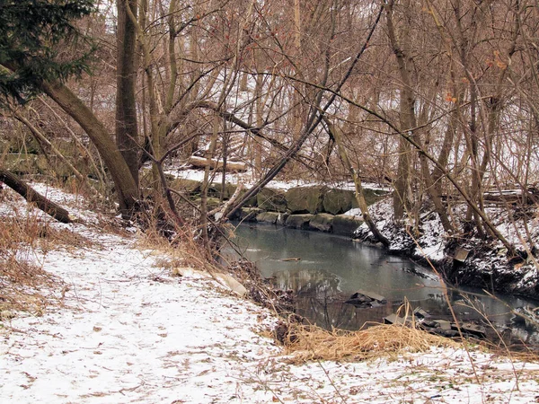 Une Belle Vue Sur Paysage Hivernal Enneigé Avec Une Rivière — Photo