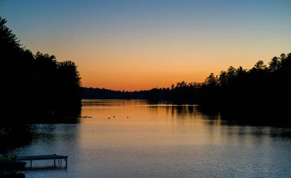 Mesmerizing View Lake Water Flowing Dense Growing Forest Trees Sunset — стоковое фото