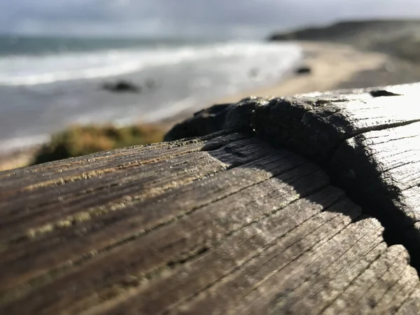 Gros Plan Une Bûche Sur Plage — Photo