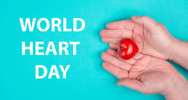 Mulher Está Segurando Coração Vermelho Mão Worldheart Day Blue Colored — Fotografia de Stock