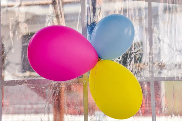 Three Colorful Balloons Blue Pink Yellow Stuck Plastic Window Party — Stock Photo, Image