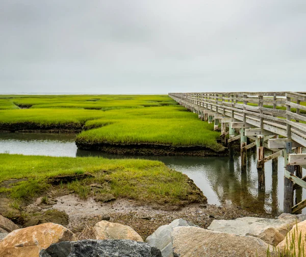 Der Blick Auf Das Grüne Feuchtgebiet Mit Einer Holzbrücke — Stockfoto