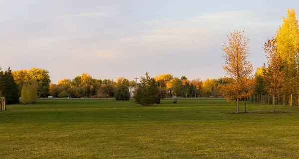 Een Prachtige Groene Weide Met Kleurrijke Herfstbomen — Stockfoto
