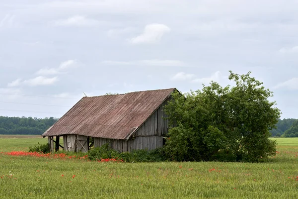 Una Pequeña Casa Madera Campo Verde — Foto de Stock