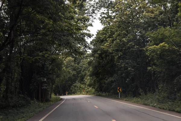 Beautiful Shot Road Surrounded Forest Thailand — Stock Photo, Image