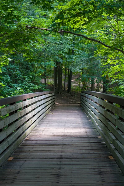 Den Gamla Träbron Som Leder Till Den Vackra Stigen Genom — Stockfoto