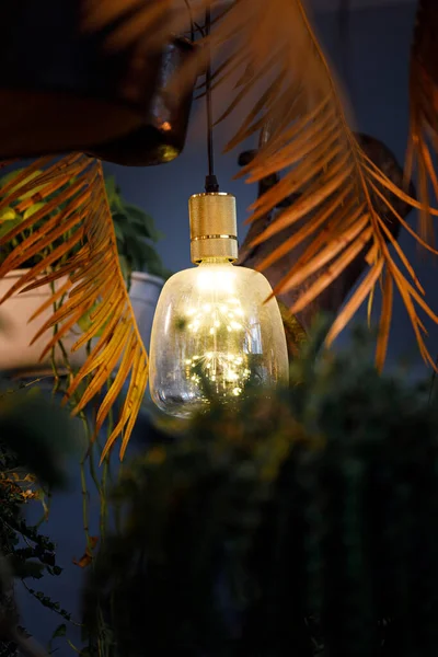 Vertical Shot Light Bulb Some Decorative Plants Hanging Ceiling — Fotografia de Stock