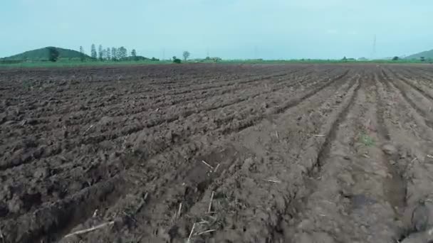 Zelené Pole Zemědělské Půdy — Stock video