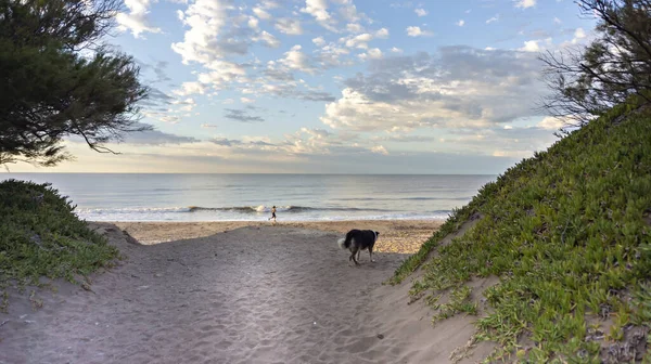 Woman Running Beach While Dog Watches Her Medano — Stock Photo, Image
