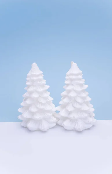 Isolato Decorativo Conifere Contro Cielo Blu Sfondo Bianco — Foto Stock