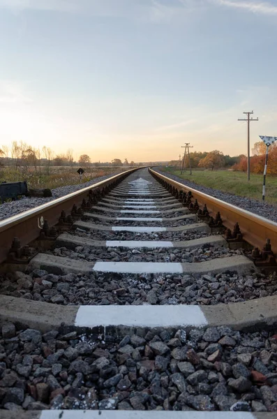 Demiryolu Raylarının Dikey Çekimi — Stok fotoğraf